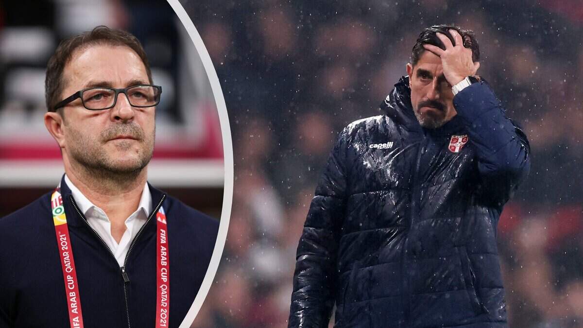 Voormalig assistent-bondscoach Zeljko Petrovic ziet chaos bij Servië en wijst onmisbare schakel bij Oranje aan: ’Daar wordt lacherig over gedaan’ | De Telegraaf